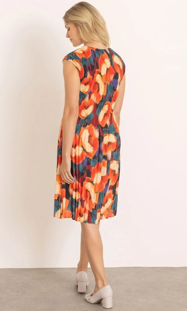 Printed Round Neck Pleated Dress